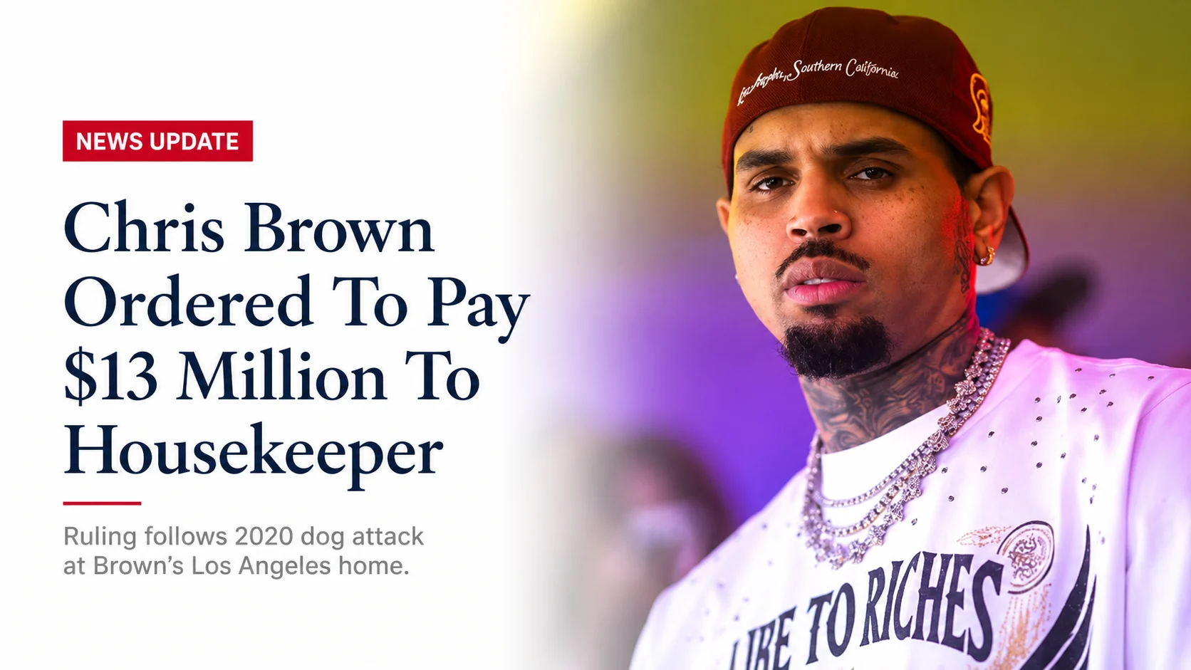 Chris Brown Ordered To Pay $13 Million To Housekeeper In Housekeeper Dog Attack Case